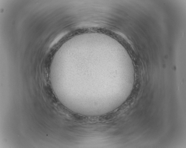 X0000070370871200606301854