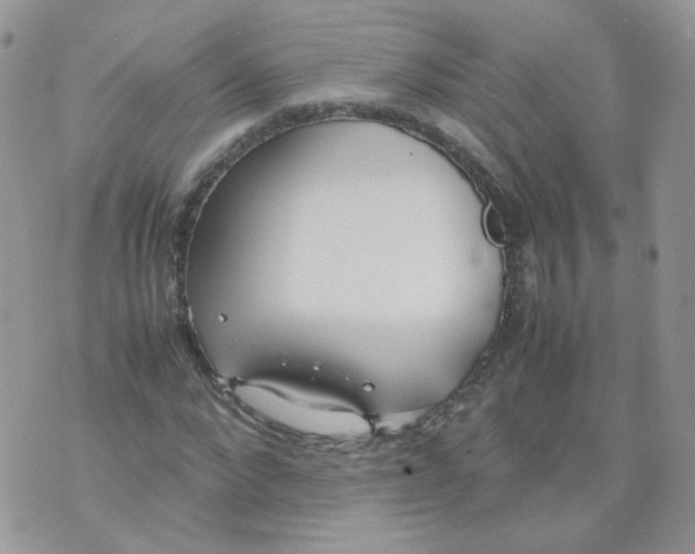 X0000070370872200606301854