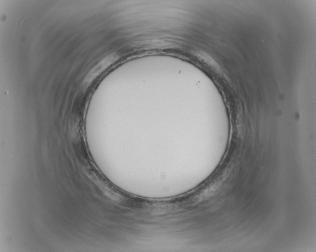 X0000070370873200606301854