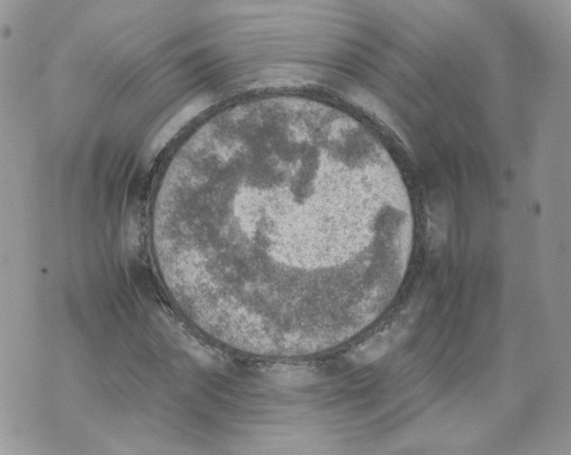 X0000070370874200606301854