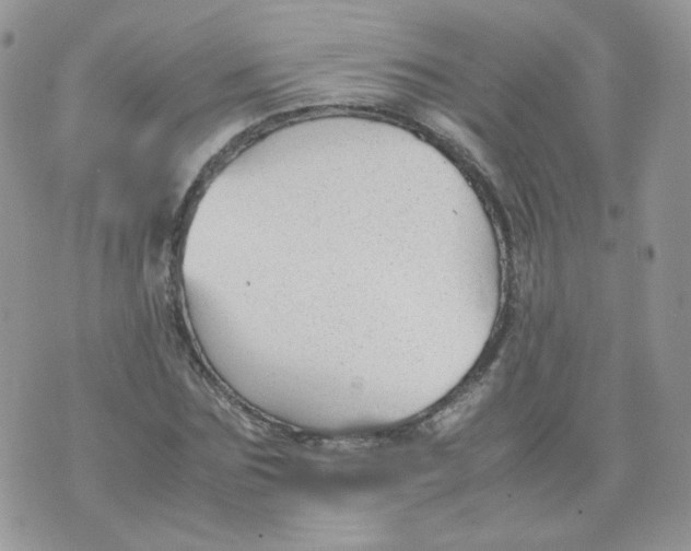 X0000070370875200606301854