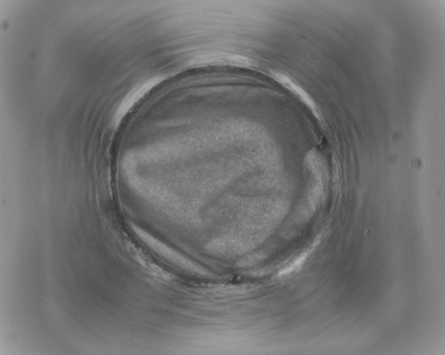 X0000070370877200606301854