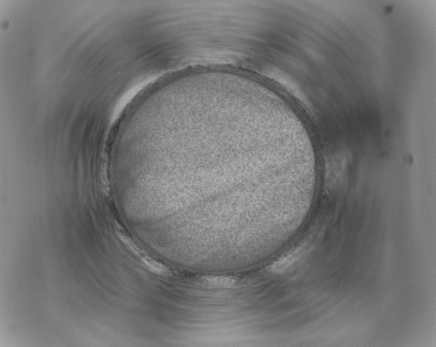 X0000070370878200606301854