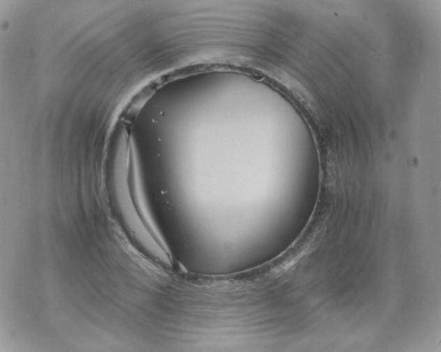 X0000070370880200606301854