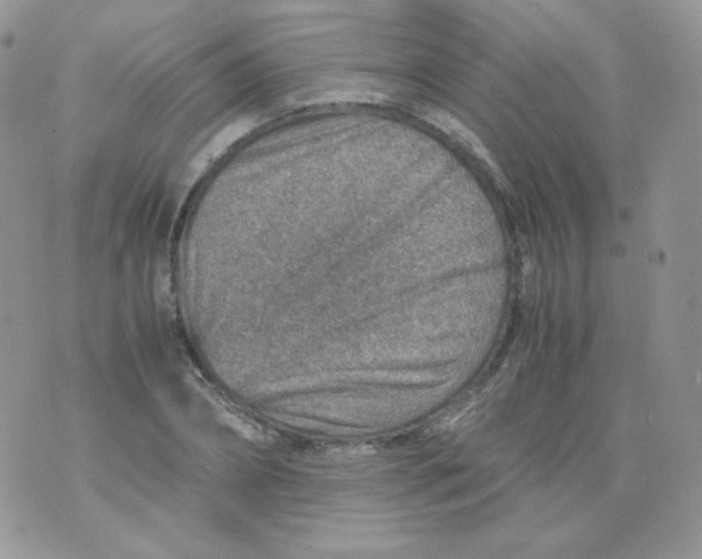 X0000070370882200606301853