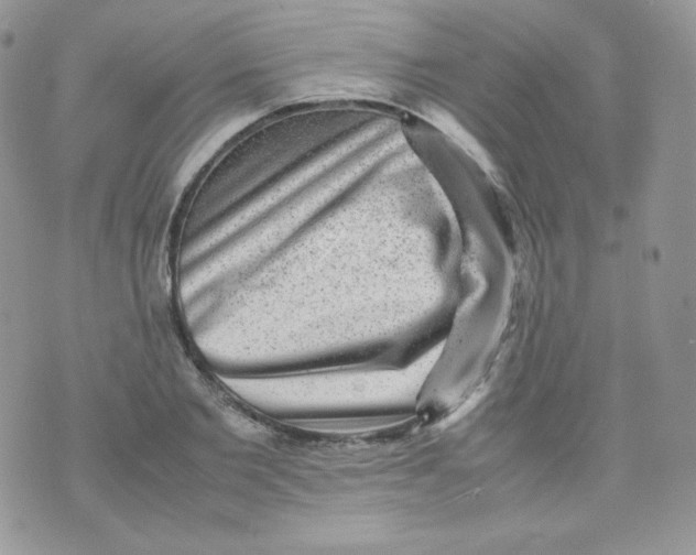 X0000070370885200606301853