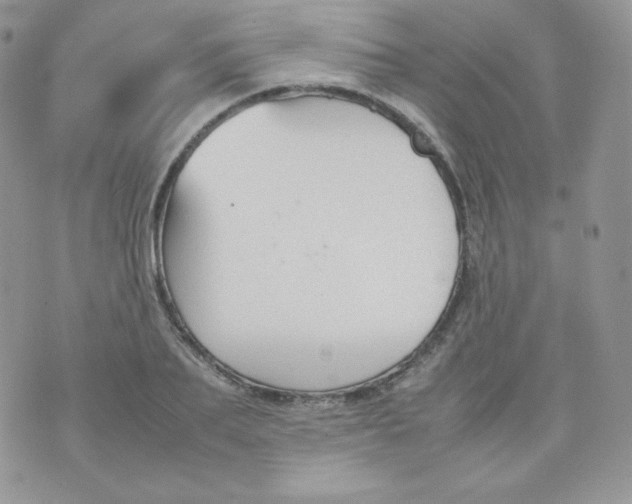 X0000070370887200606301853