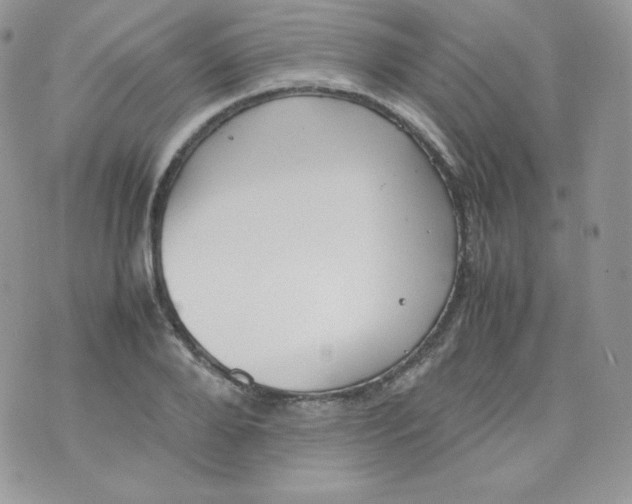 X0000070370888200606301853