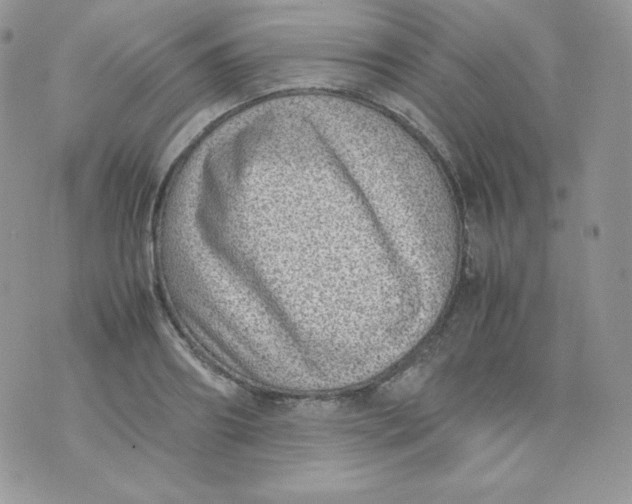 X0000070370890200606301853