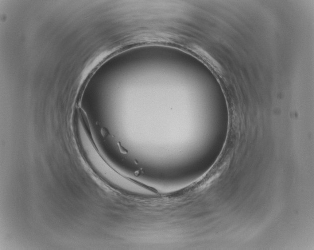 X0000070370893200606301853