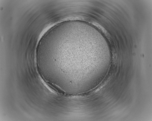 X0000070370894200606301853