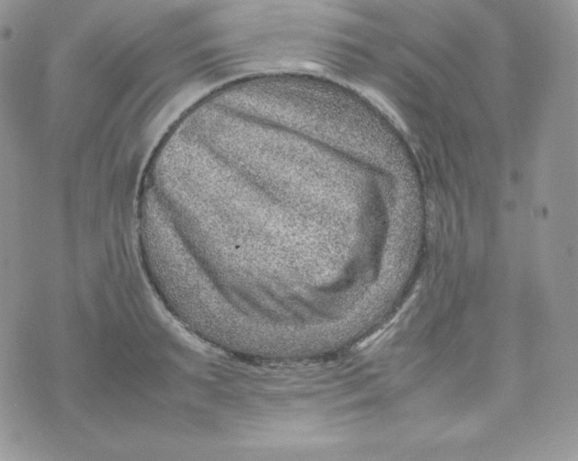 X0000070370895200606301853