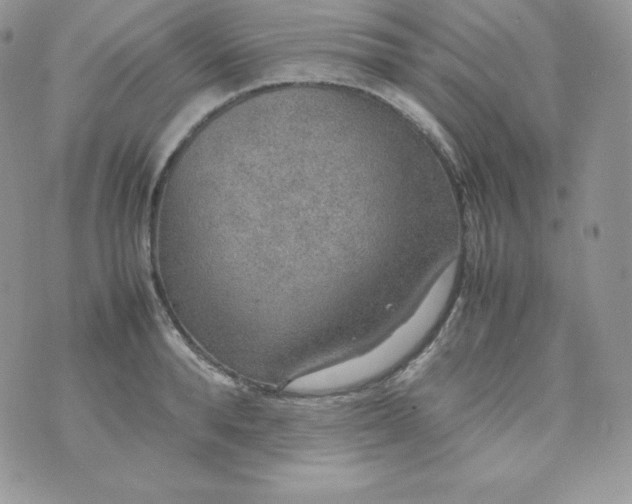 X0000070370896200606301853