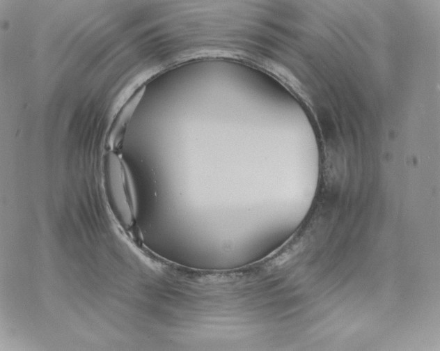 X0000070370898200606301853