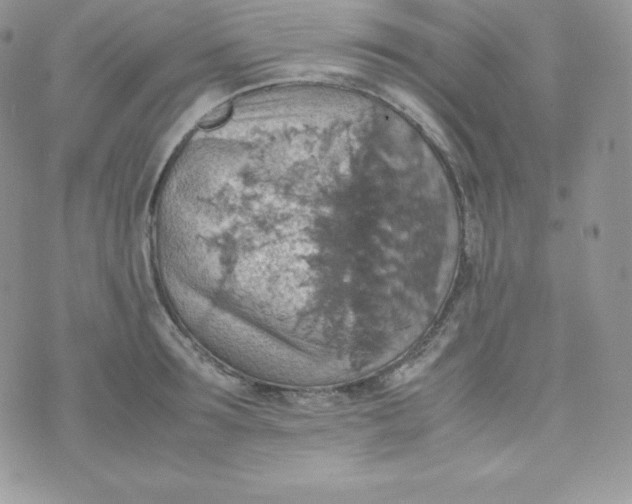 X0000070370899200606301853