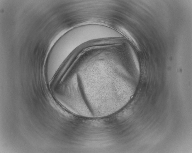 X0000070370900200606301853