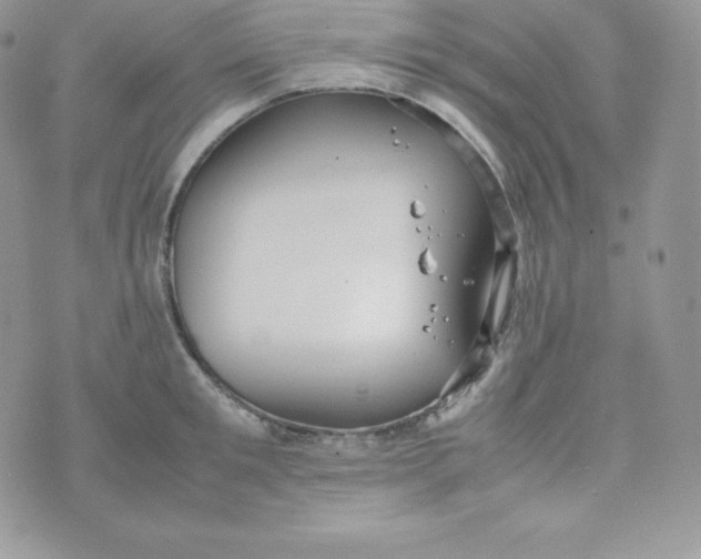 X0000070370901200606301853