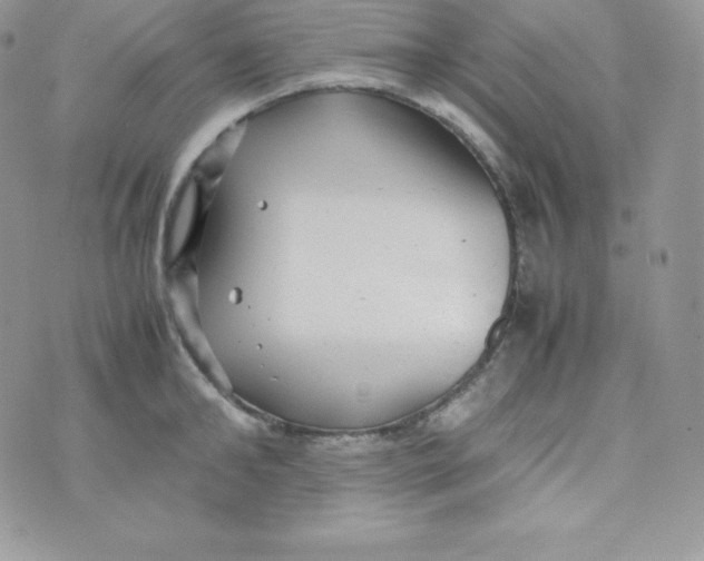 X0000070370902200606301853