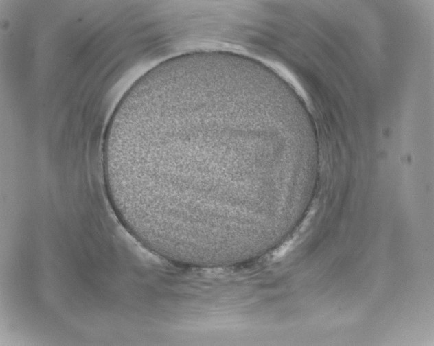 X0000070370903200606301853