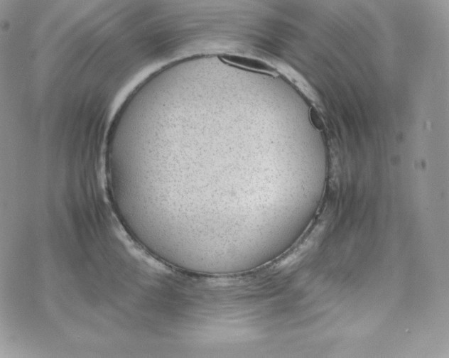 X0000070370904200606301853