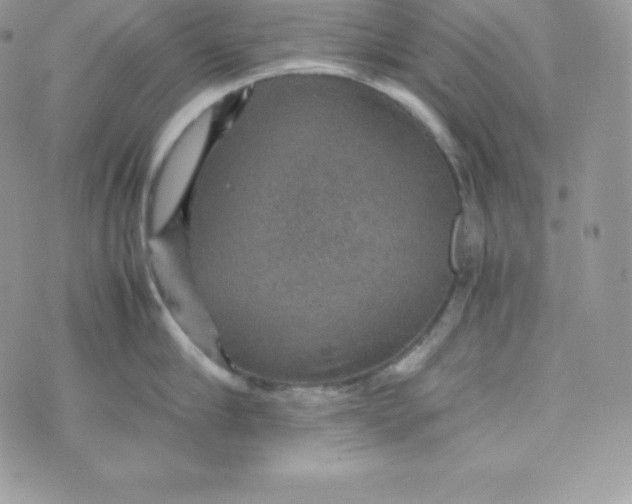 X0000070370910200606301853