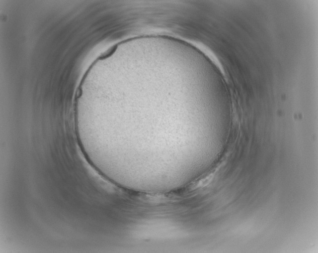 X0000070370911200606301853