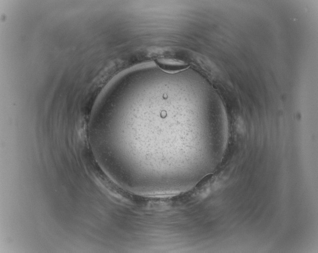 X0000070370914200606301852