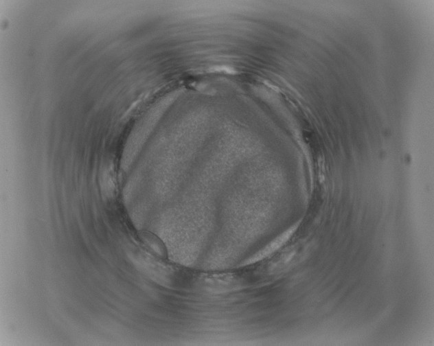 X0000070370915200606301852