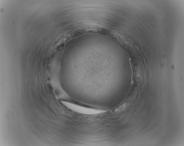 X0000070370916200606301852