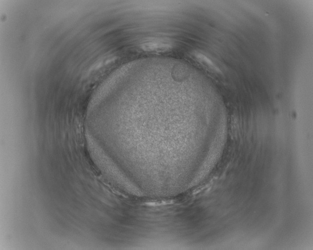 X0000070370917200606301852