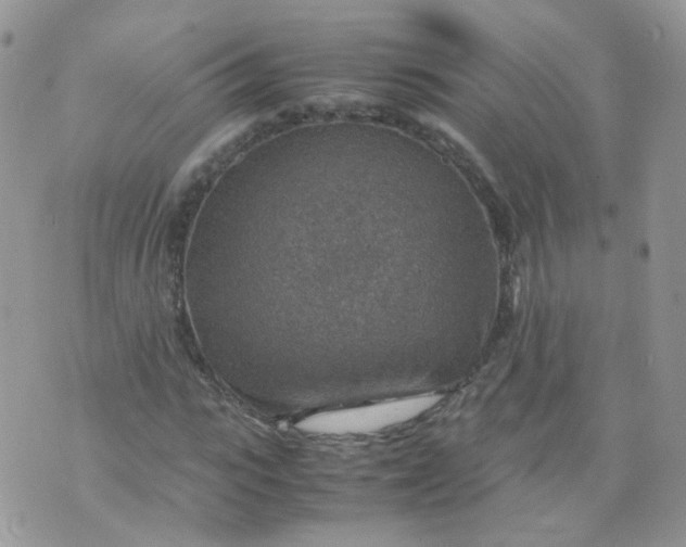 X0000070370919200606301852