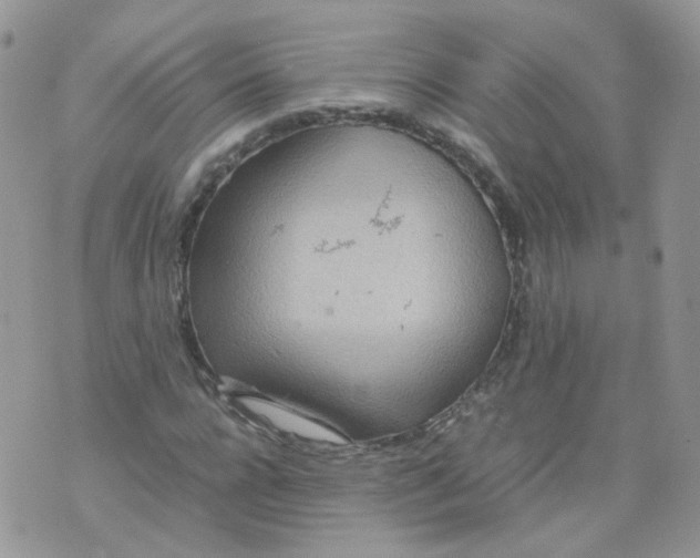 X0000070370920200606301852