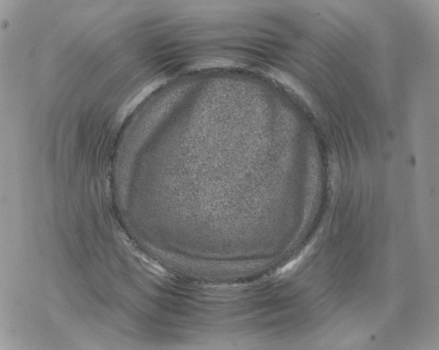 X0000070370921200606301852