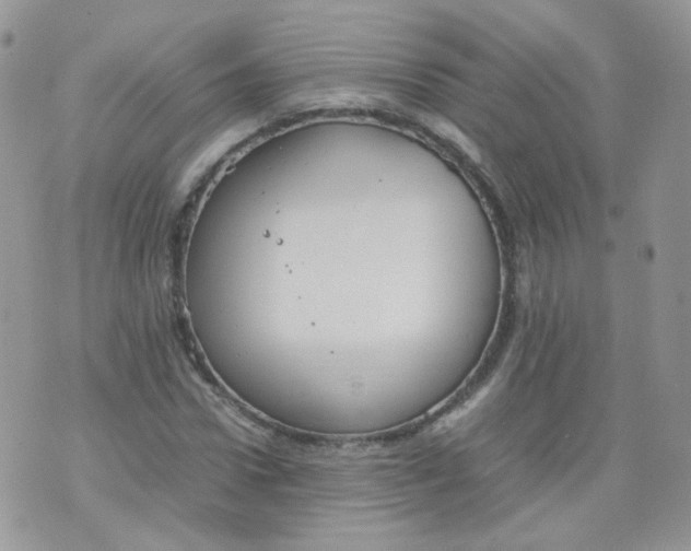 X0000070370922200606301852