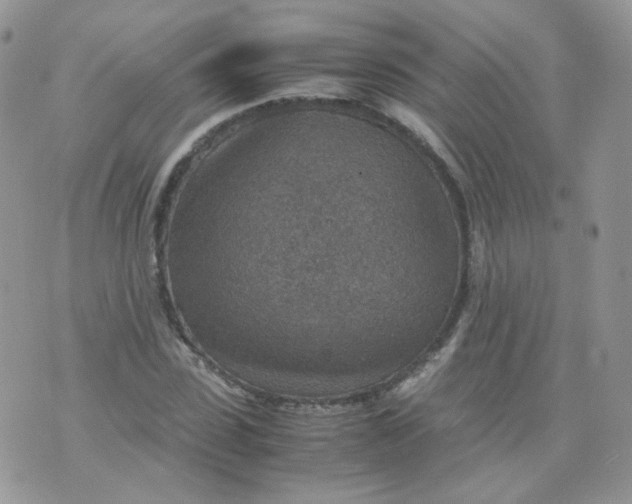 X0000070370923200606301852