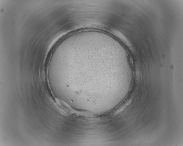 X0000070370924200606301852