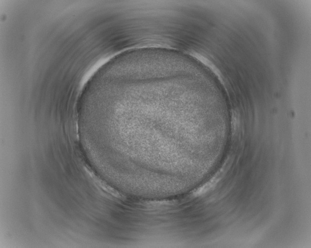 X0000070370925200606301852