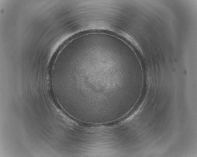 X0000070370926200606301852