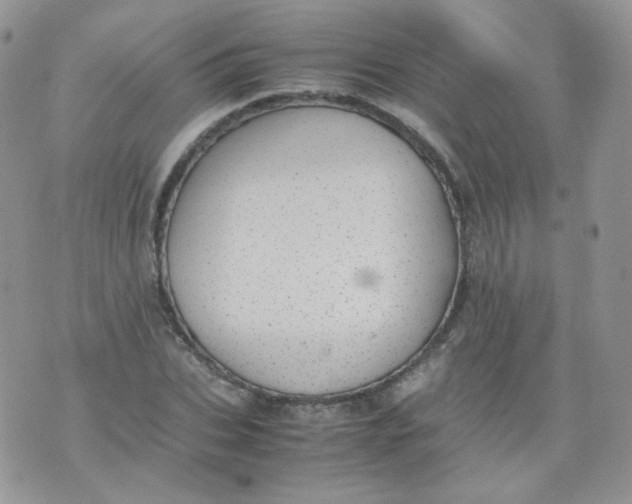 X0000070370927200606301852