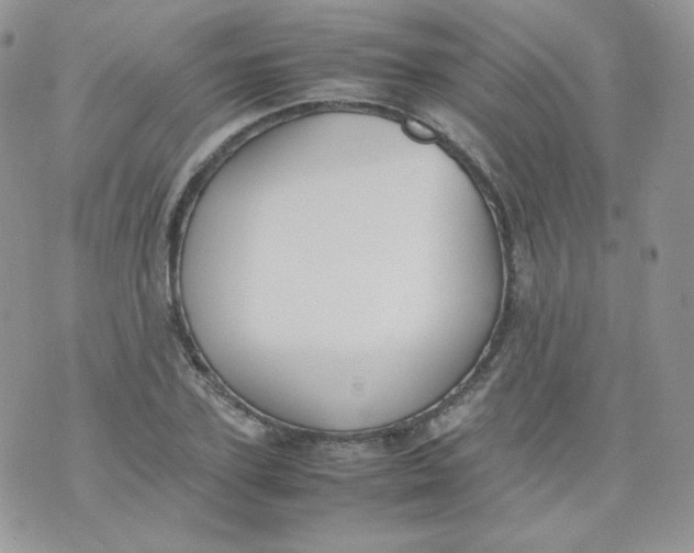 X0000070370931200606301853