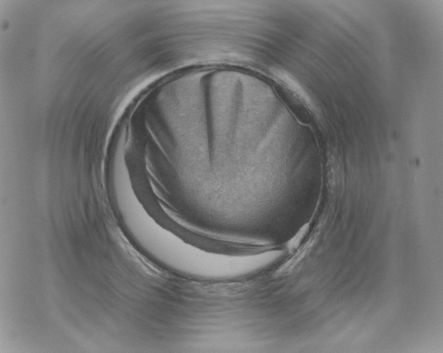 X0000070370932200606301853