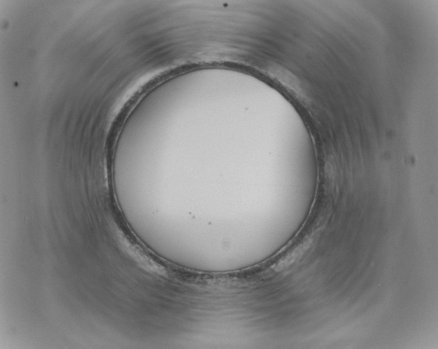 X0000070370934200606301853