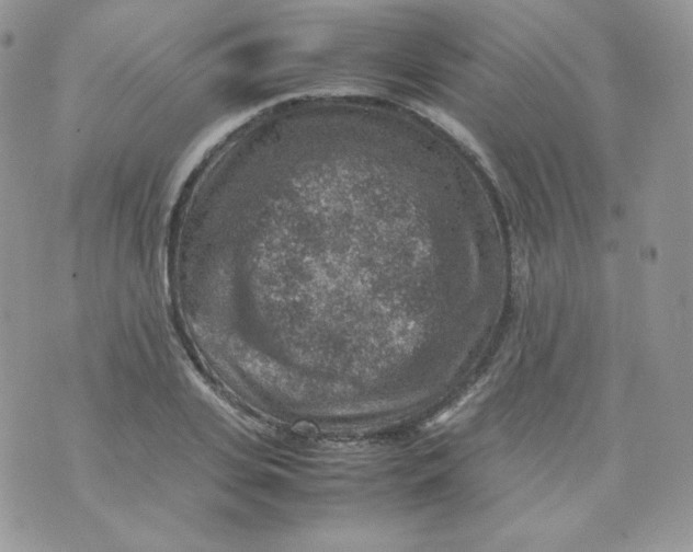 X0000070370935200606301853