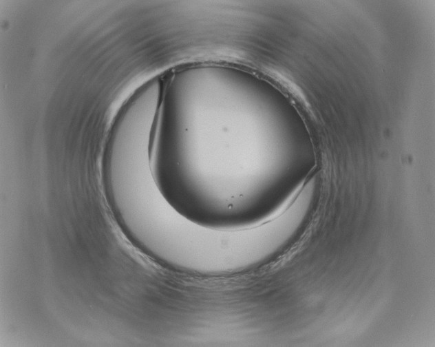 X0000070370936200606301853