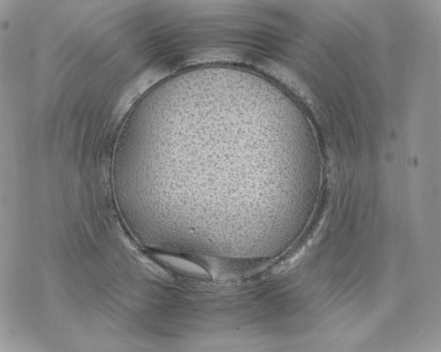 X0000070370937200606301853