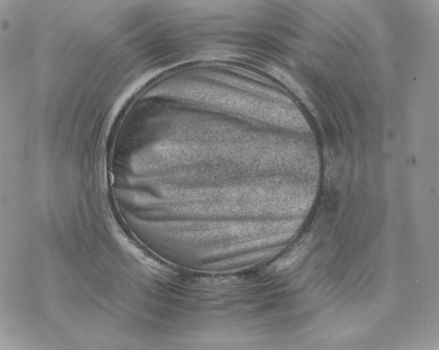 X0000070370939200606301853