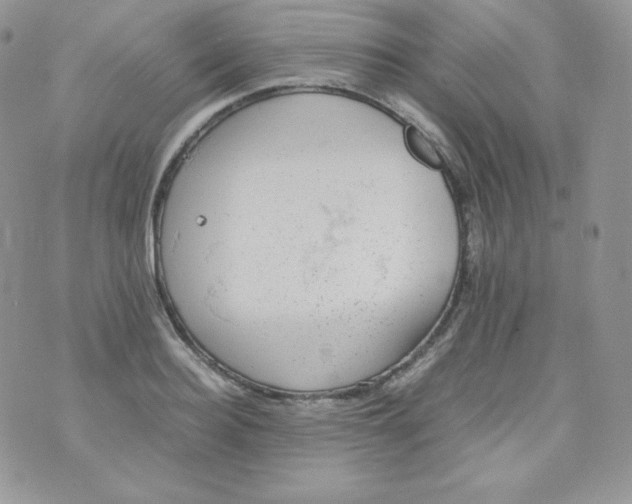 X0000070370940200606301853