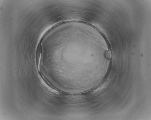 X0000070370941200606301853