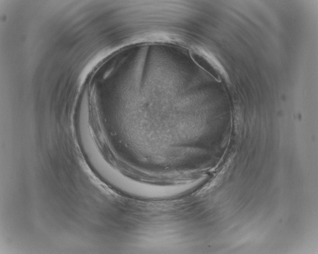 X0000070370944200606301853