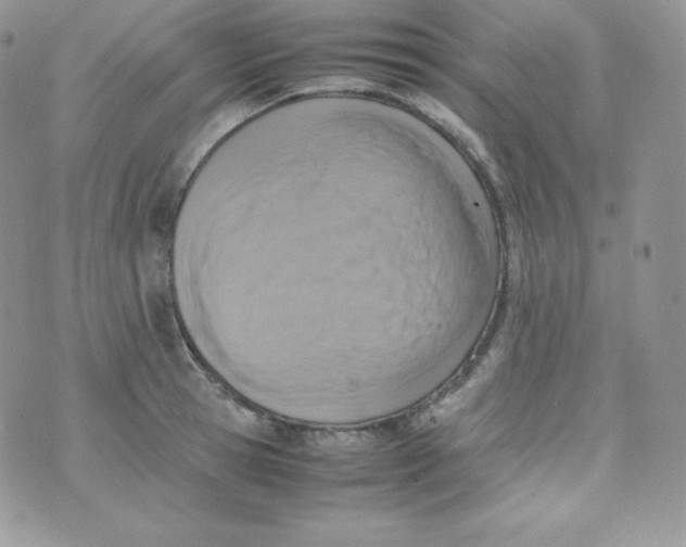 X0000070370945200606301853